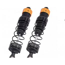 Amortisseurs avants...